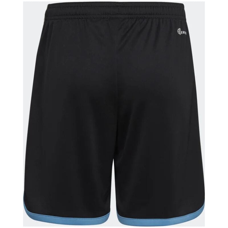 Mens Argentina Home Shorts FIFA World Cup Qatar 2022