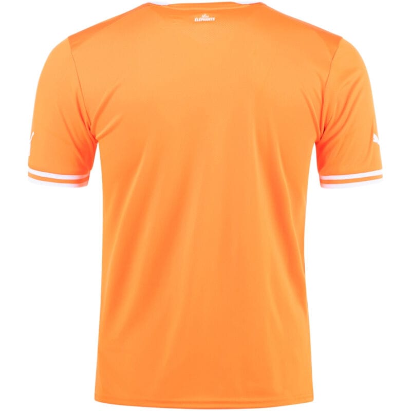 Mens Ivory Coast Home Jersey FIFA World Cup Qatar 2022