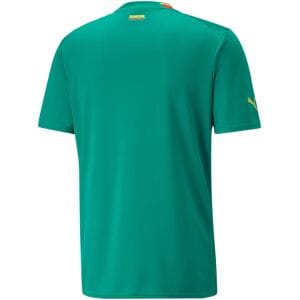 Mens Senegal Home Jersey FIFA World Cup Qatar 2022