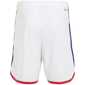 Mens Japan Home Shorts FIFA World Cup Qatar 2022