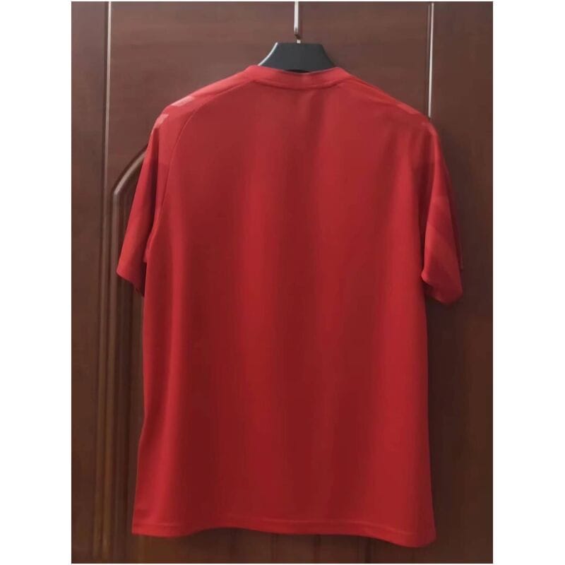 Mens Denmark Home Jersey FIFA World Cup Qatar 2022