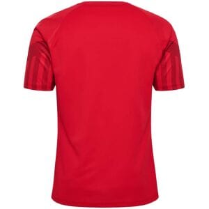 Mens Denmark Home Jersey FIFA World Cup Qatar 2022