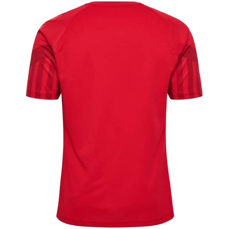 Mens Denmark Home Jersey FIFA World Cup Qatar 2022