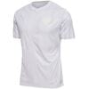 Mens Denmark Away Jersey FIFA World Cup Qatar 2022