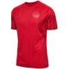 Mens Denmark Home Jersey FIFA World Cup Qatar 2022