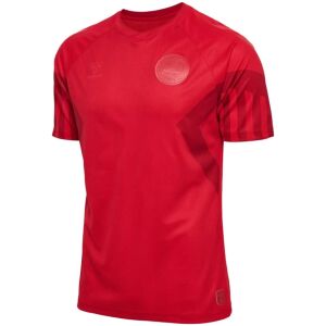 Mens Denmark Home Jersey FIFA World Cup Qatar 2022