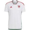 Mens Wales Away Jersey FIFA World Cup Qatar 2022