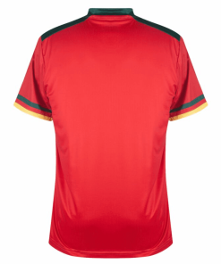Mens Cameroun Third Jersey FIFA World Cup Qatar 2022