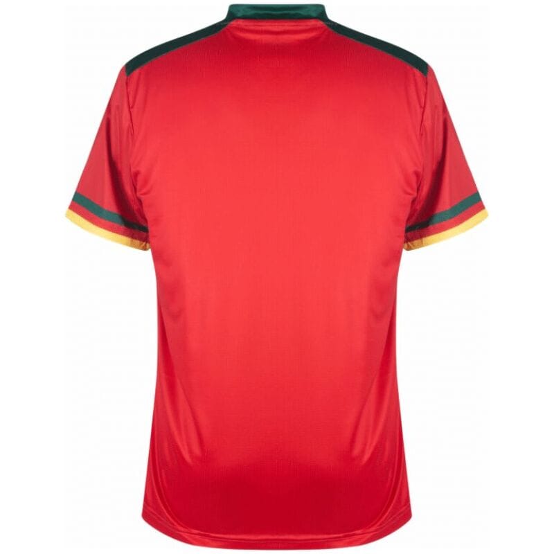 Mens Cameroun Third Jersey FIFA World Cup Qatar 2022