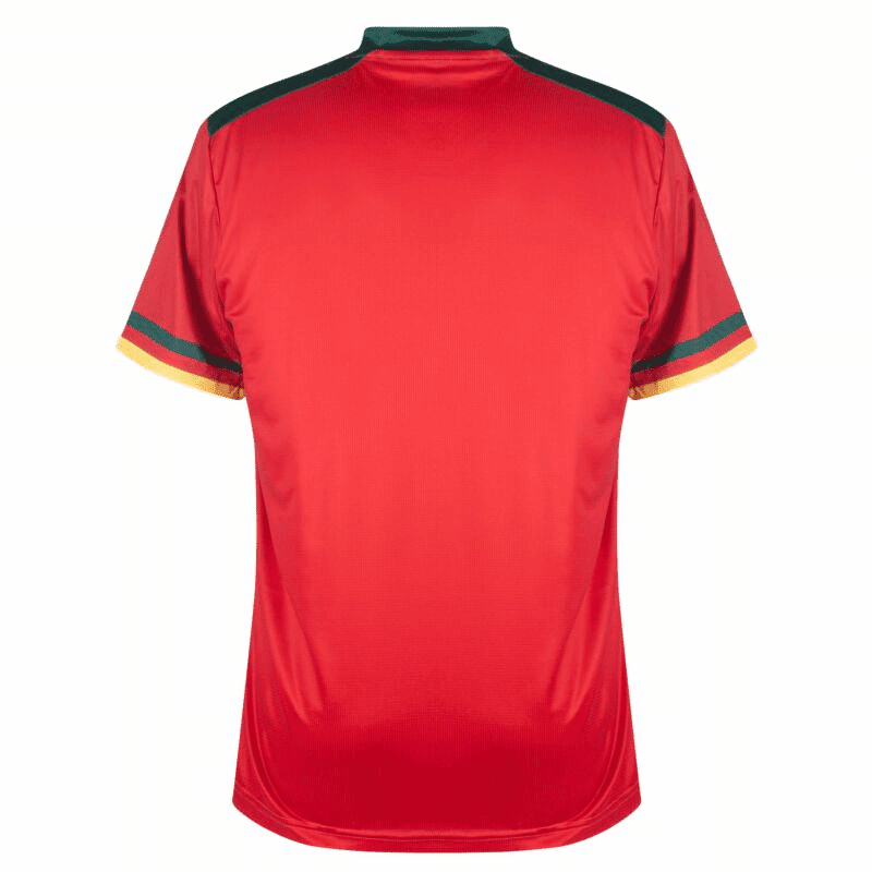 Mens Cameroun Third Jersey FIFA World Cup Qatar 2022