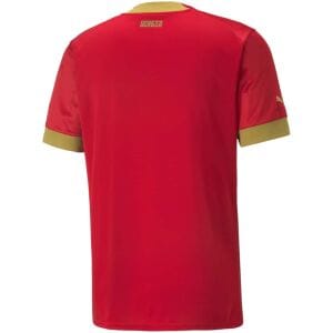Mens Serbia Home Jersey FIFA World Cup Qatar 2022