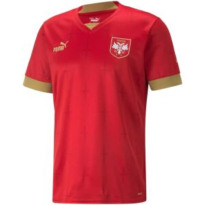 Mens Serbia Home Jersey FIFA World Cup Qatar 2022