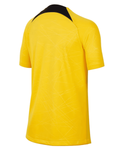 Mens PSG Pre-Match Top Short Training Jersey Yellow 2023/24