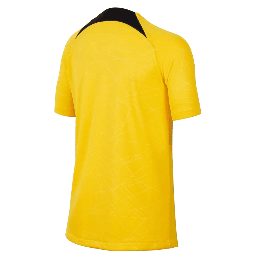 Mens PSG Pre-Match Top Short Training Jersey Yellow 2023/24