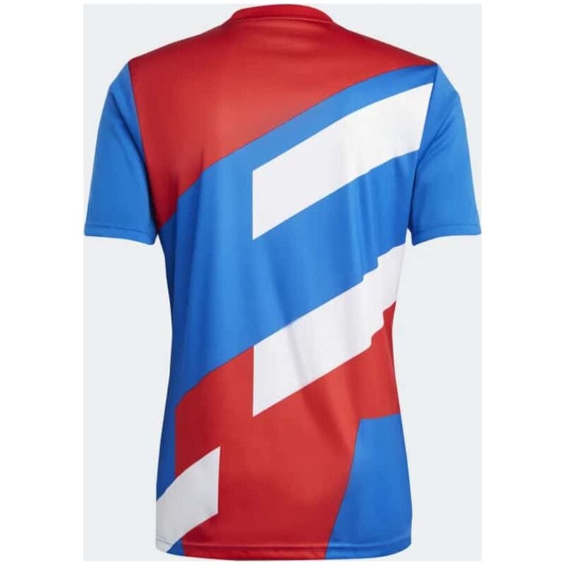 Mens Bayern Munich Pre-Match Top Short Training Jersey Blue 2023/24