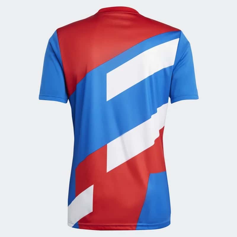 Mens Bayern Munich Pre-Match Top Short Training Jersey Blue 2023/24