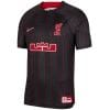 Mens Liverpool X Lebron James 2023/24 Jersey Anthracite/Gym Red