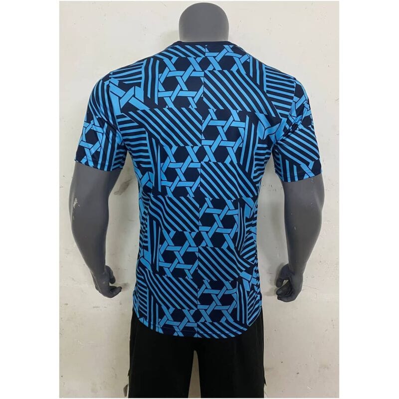 Mens Denmark Pre-Match Short Training Blue Jersey 2023