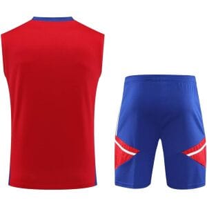 Mens Bayern Munich Singlet Suit Red 2023/24