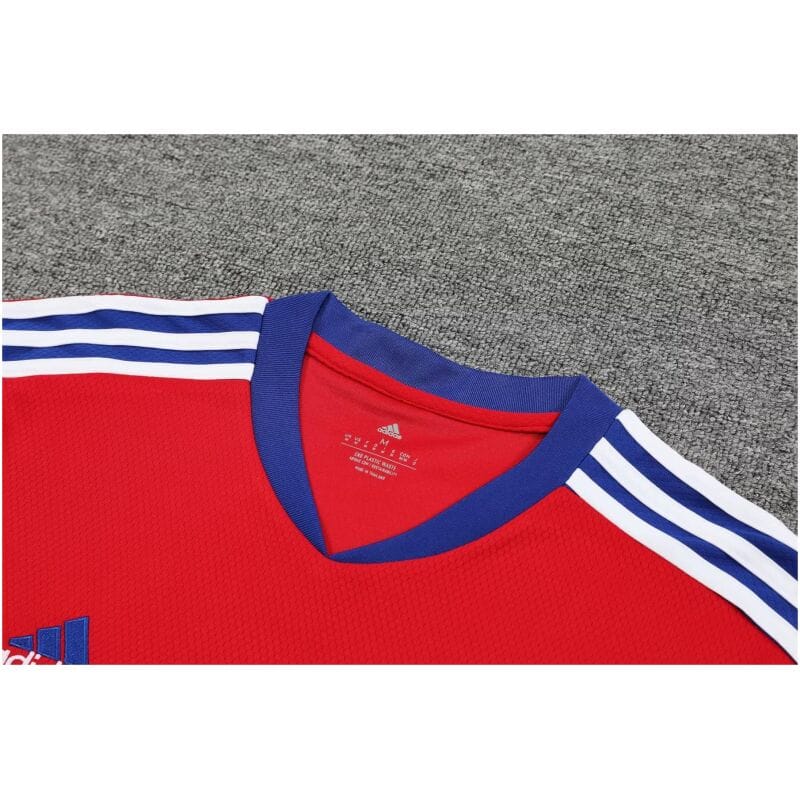 Mens Bayern Munich Short Training Suit Red 2023/24