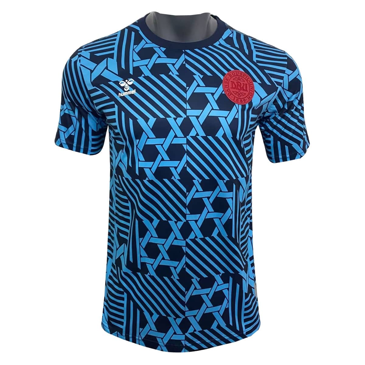 Mens Denmark Pre-Match Short Training Blue Jersey 2023