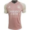 Mens Olympique Lyonnais Pre-Match Top Short Training Jersey Pink 2023/24