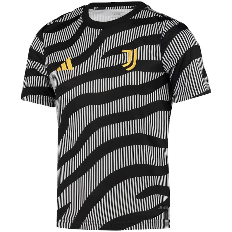 Mens Juventus Short Training Jersey Grey 2023/24