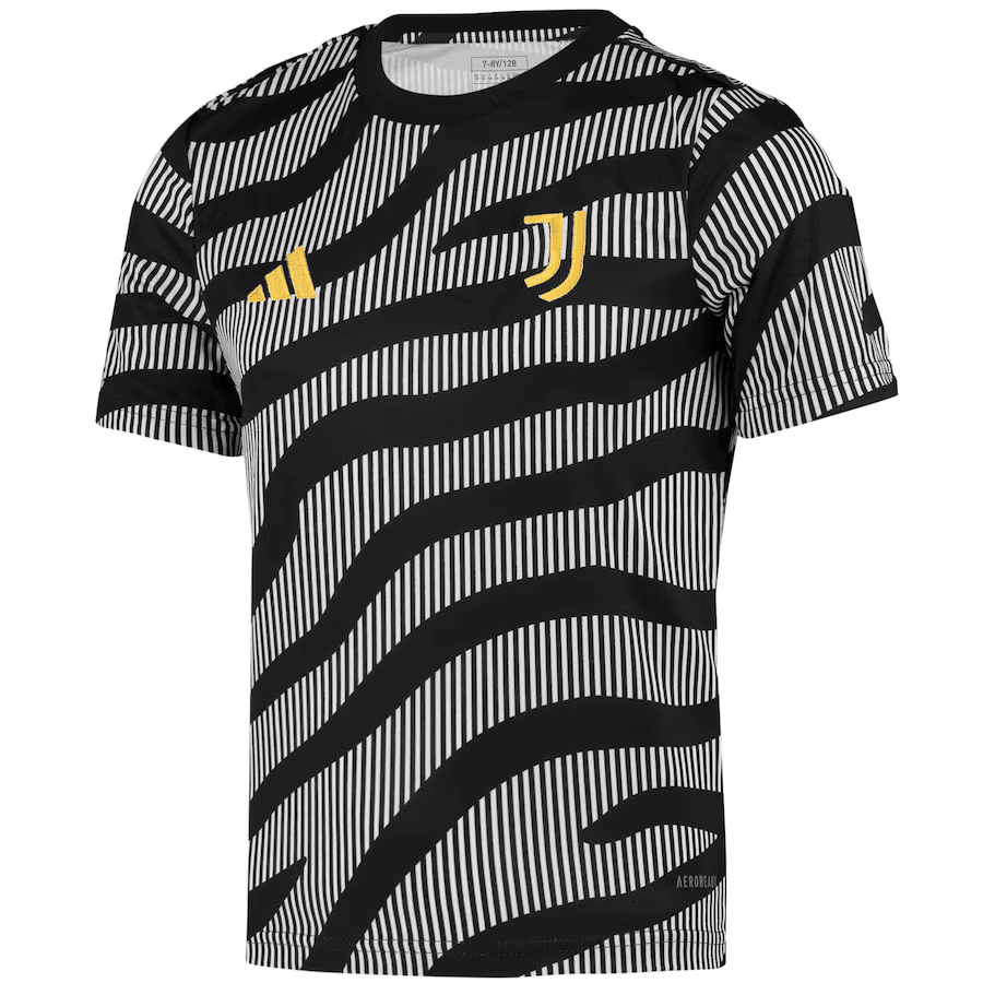 Mens Juventus Short Training Jersey Grey 2023/24