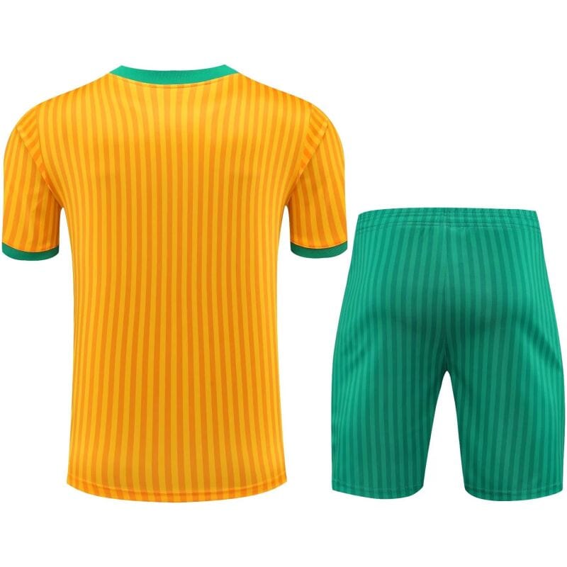 Mens Bayern Munich Short Training Suit Yellow 2023/24