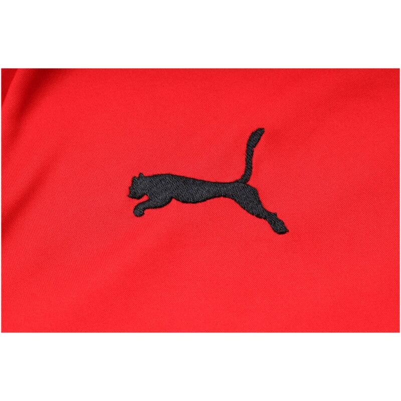 Mens AC Milan Polo Shirt Red 2023/24