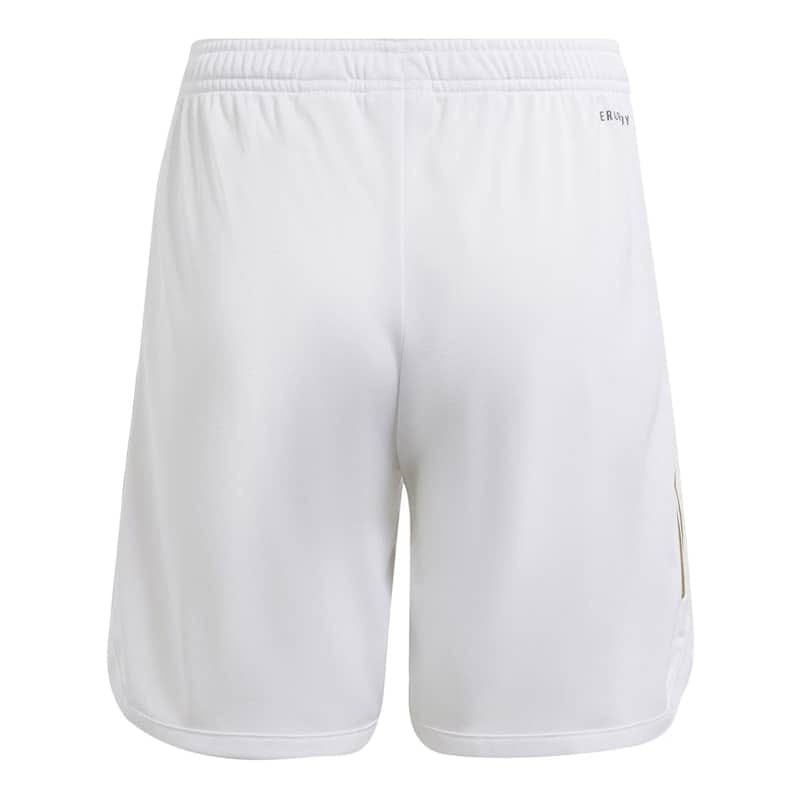 Mens Olympique Lyonnais Home Shorts 2023/24