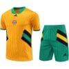 Mens Bayern Munich Short Training Suit Yellow 2023/24