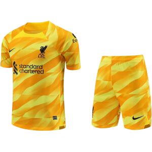 Mens Liverpool Goalkeeper Yellow Suit 2023/24