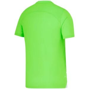 Mens VfL Wolfsburg Home Jersey 2023/24