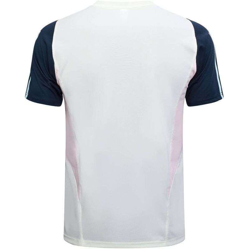 Mens Ajax Short Training Jersey Mist Green 2023/24