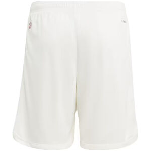 Mens Manchester United Third Shorts 2023/24