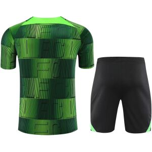 Mens Liverpool Short Training Suit Green 2023/24