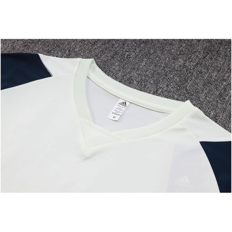 Mens Ajax Short Training Jersey Mist Green 2023/24