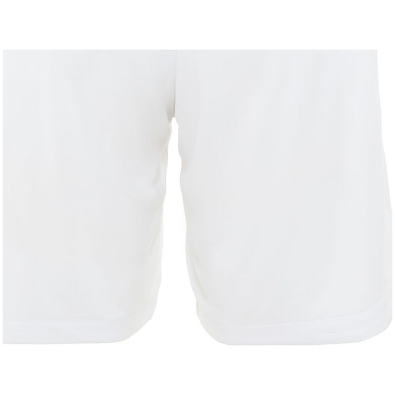 Herren Inter Mailand Auswärtsshorts 2023/24