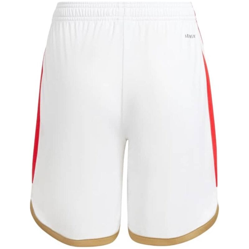 Mens Benfica Home Shorts 2023/24