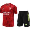 Mens Arsenal Short Training Suit Red 2023/24