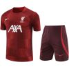 Mens Liverpool Short Training Suit Burgundy 2023/24