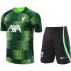 Mens Liverpool Short Training Suit Green 2023/24
