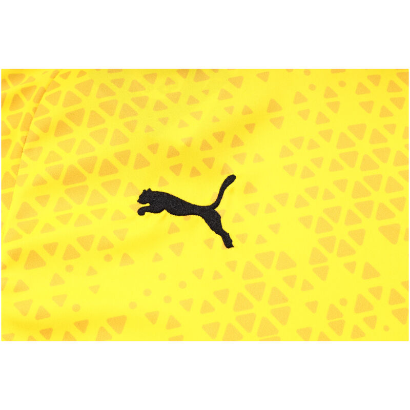 Mens Borussia Dortmund Short Training Suit Yellow 2023/24