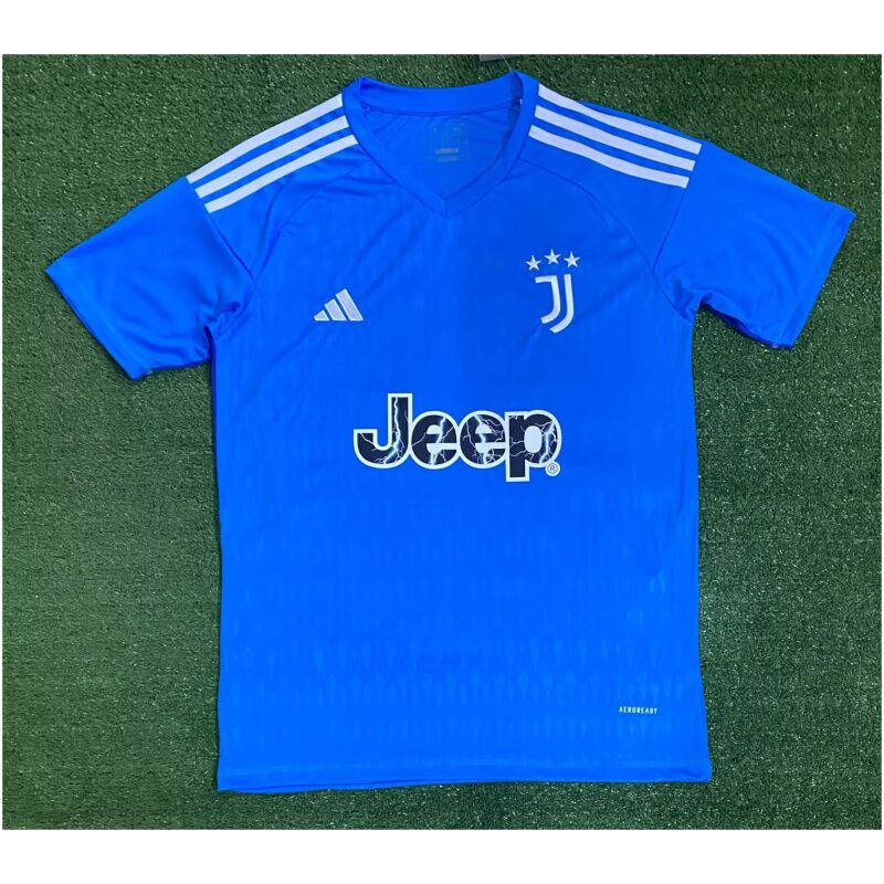 Mens Juventus Goalkeeper Blue Jersey 2023/24