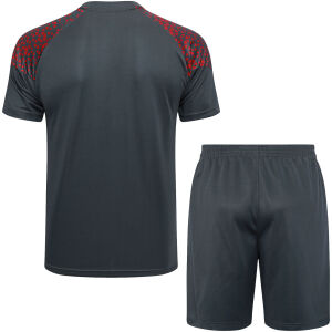 Mens Manchester City Short Training Suit Grey – Red 2023/24