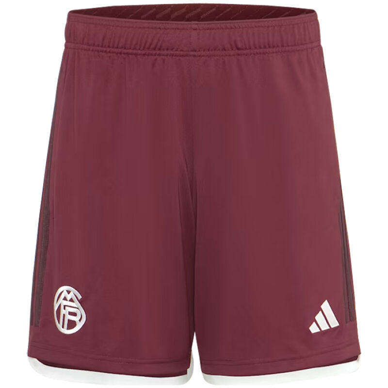 Herren Bayern München Dritte Shorts 2023/24