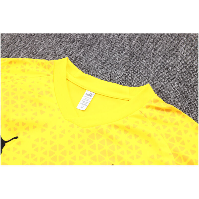 Mens Borussia Dortmund Short Training Suit Yellow 2023/24