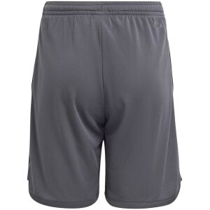 Mens Juventus Third Shorts 2023/24