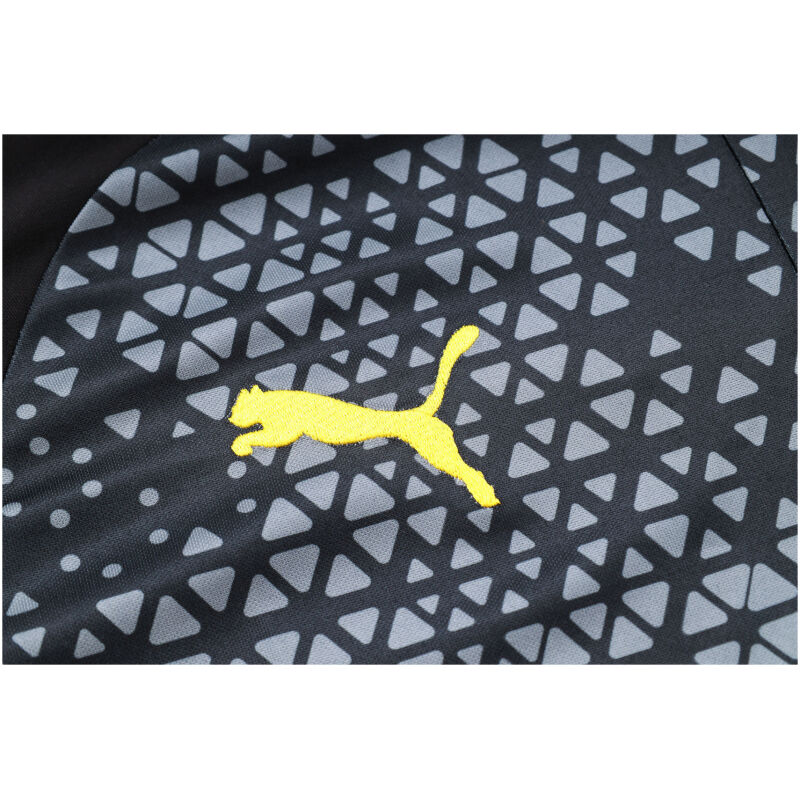 Mens Borussia Dortmund Training Suit Black Pattern 2023/24